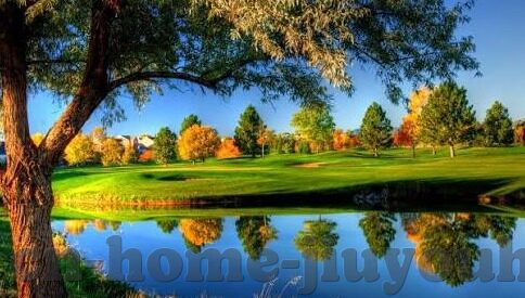 世界杯 西班牙推人-西班牙推人与世界杯的奇妙碰撞